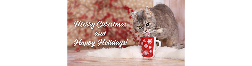 Merry Christmas and Happy Holidays! Cat drinking from mug